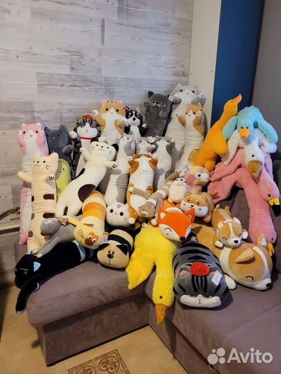 Кот Батон, кот Багет, хаски, авокадо, корги, гусь