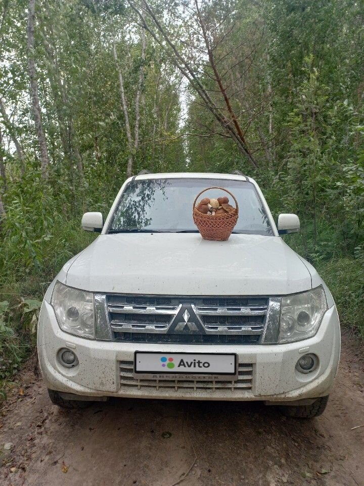 Mitsubishi Pajero: фото владельца