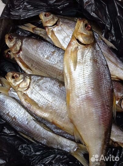 Рыбец Вобла Чехонь Килька