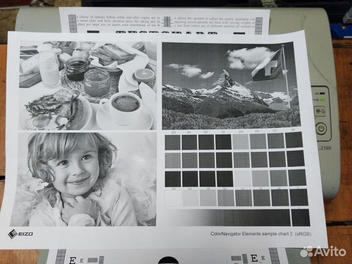 Принтер лазерный samsung ml 2160