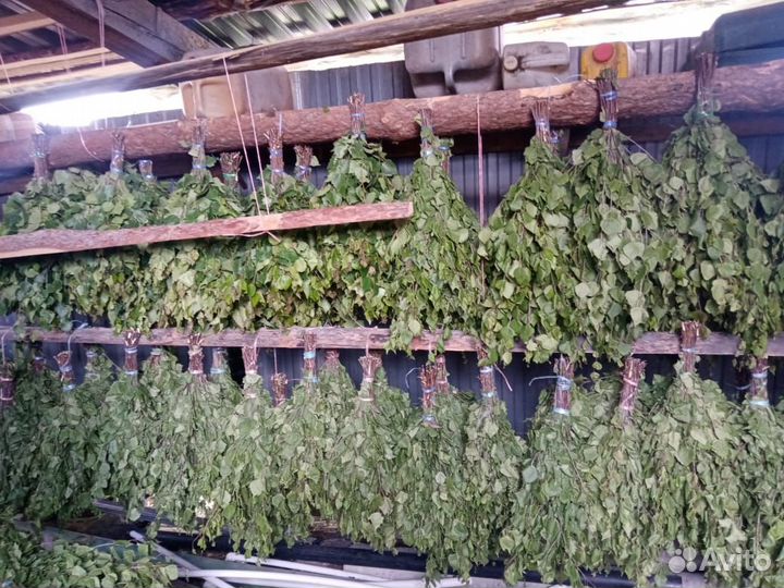 Веники для Бани