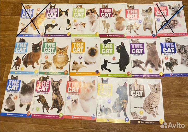 The cat collection