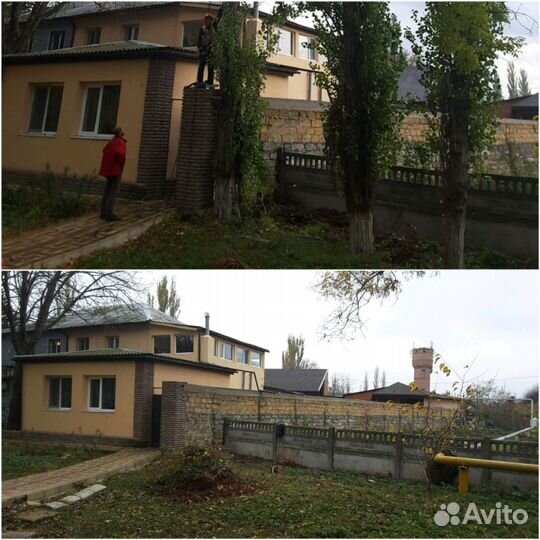 Спил сложных деревьев. корчевание пней. Высотомон