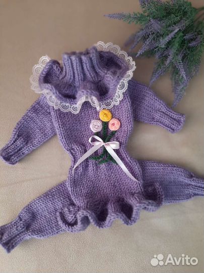 Одежда для собак