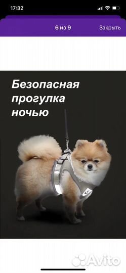Шлейка для маленькой собаки,кошки