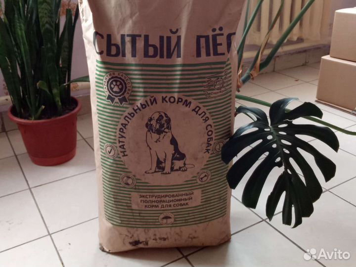 Сухой корм для собак