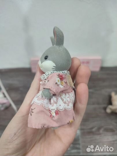 Зайчик сильвания до 2005 года