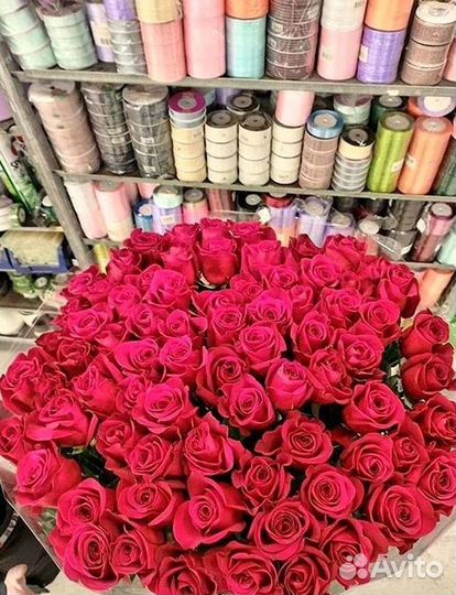 Розы Высокие Розы Гиганты Доставка Москва