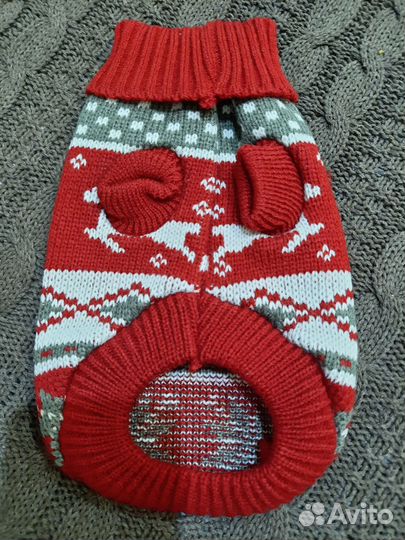 Одежда для мелких собак