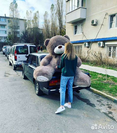 Плюшевый медведь