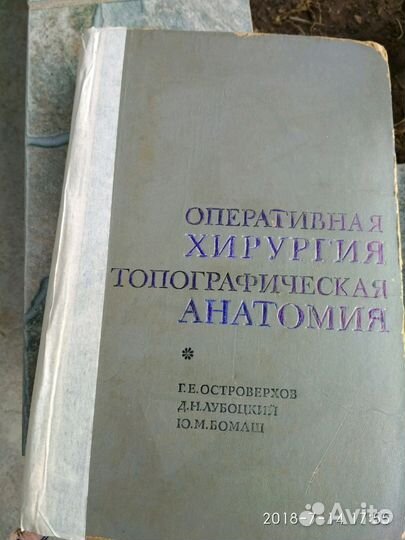 Топанатомия