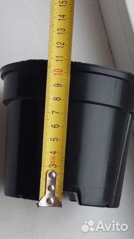 Горшки для рассады и саженцев