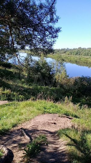 Участок 100 сот. (СНТ, ДНП)