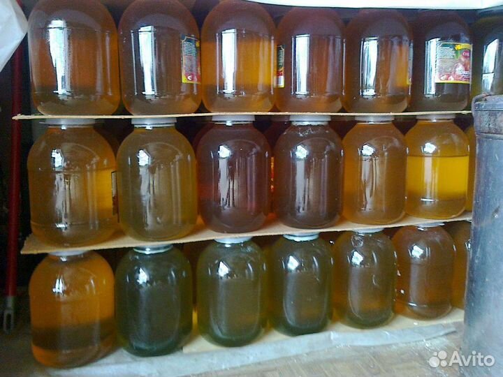 Мед Липа,белая Акация,Подсолнух,Рапс 2023г