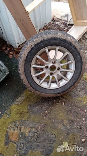 Accelera 651 13 R13