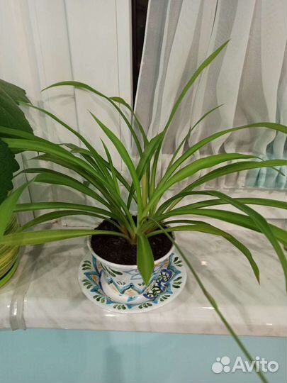 Кашпо керамика ручной работы