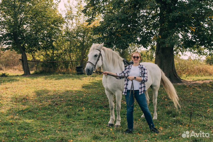 Обзорная экскурсия по Калининграду