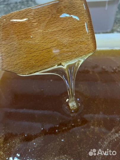 Свежий мёд разнотравье (светлое). Качка 2023 г. Оп