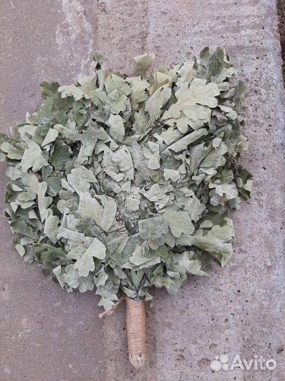 Веники дубовые