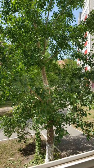 3-к. квартира, 90,5 м², 1/12 эт.