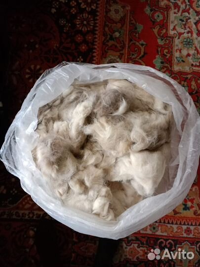 Собачья шерсть