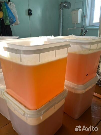 Мёд натуральный