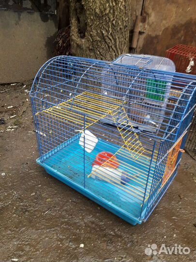 Клетки для птиц и грызунов