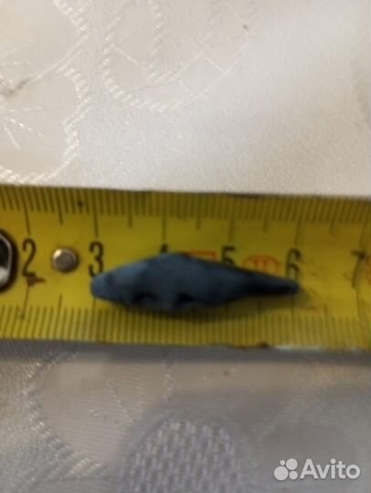 Жимолость Авача