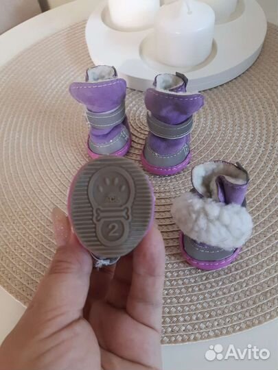 Обувь для собачки, номер 2