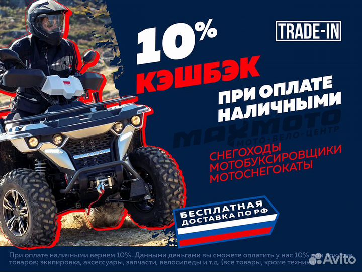 Квадроцикл raptor 110 сине-белый