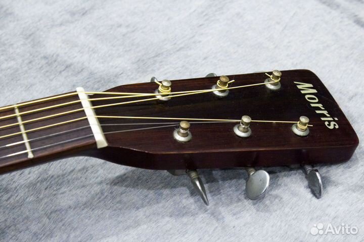 Акустическая гитара Morris W-18