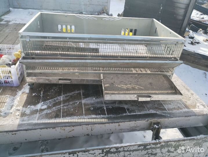 Клетки для перепелов