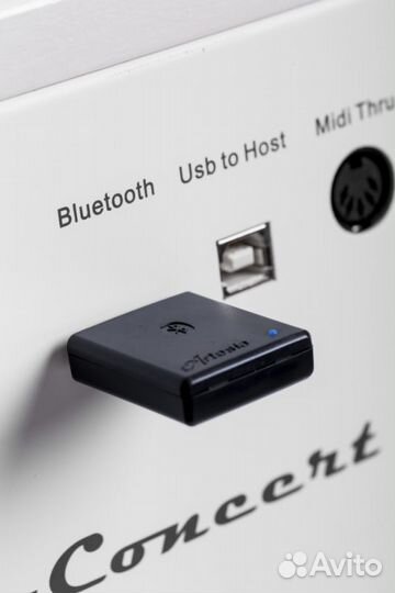 Цифровое пианино Orla + Аксессуары