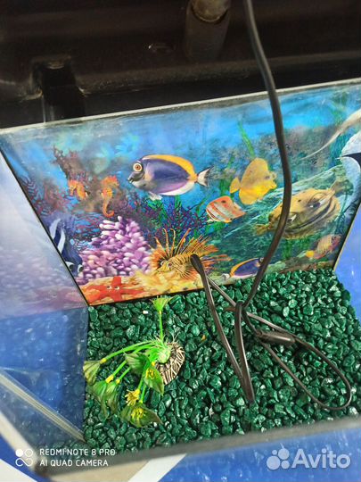 Аквариум