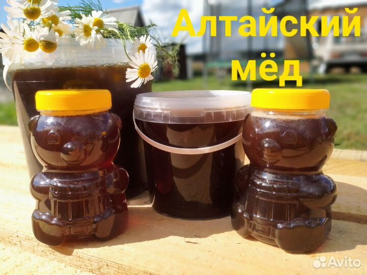Мед Алтайский