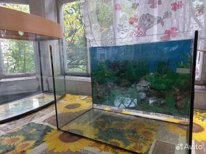 Аквариум