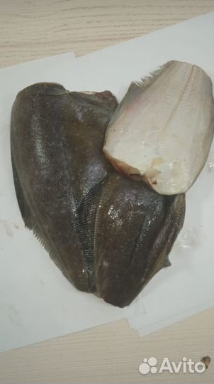 Палтус белокорый рыба свежемороженая