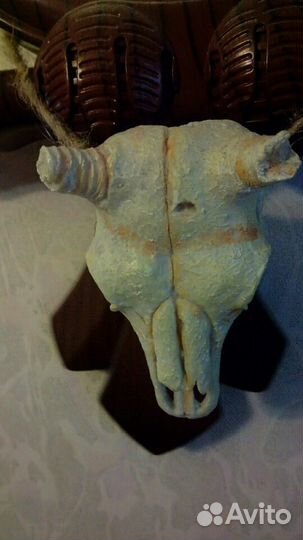 Череп для Террариума
