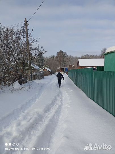 Уборка территории и участка. Вывоз мусора