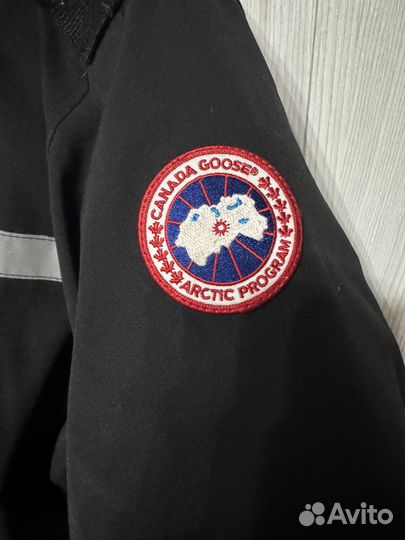 Canada goose heli arctic