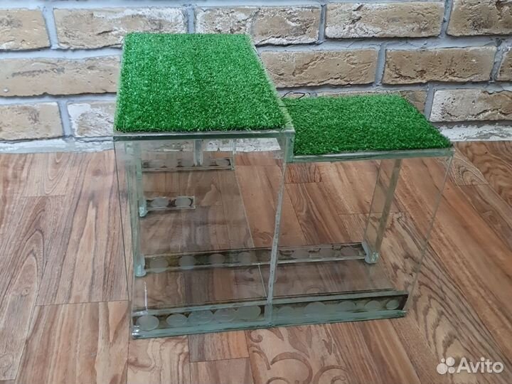 Берег для водной черепахи