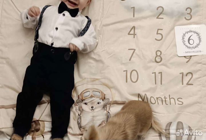 Нарядный костюм для мальчика новый