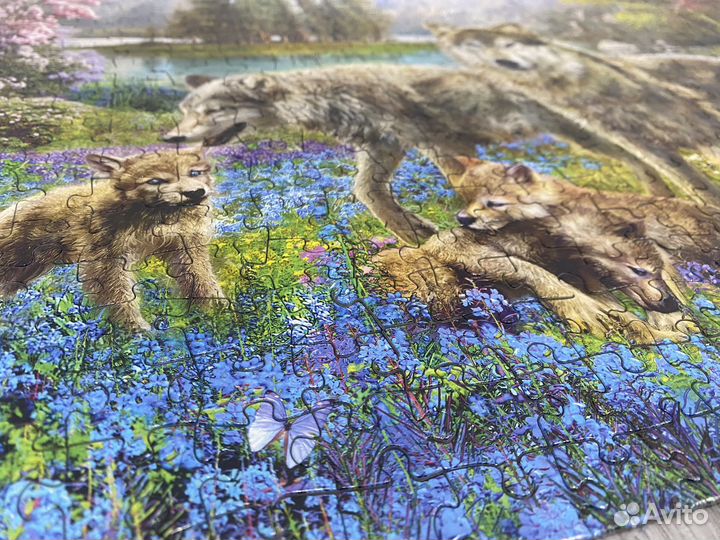 Пазлы 500 Семья волков