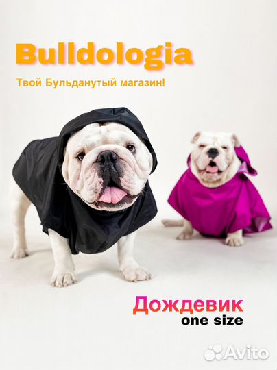 Дождевик для собаки Черный/Сиреневый