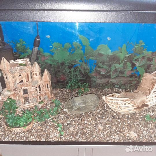 Продам аквариум