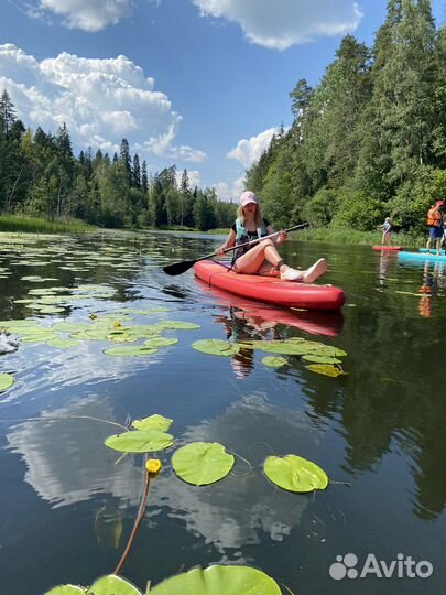 Сап доска на прогулку р. Оредеж