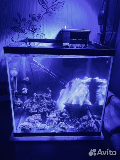 Морской аквариум