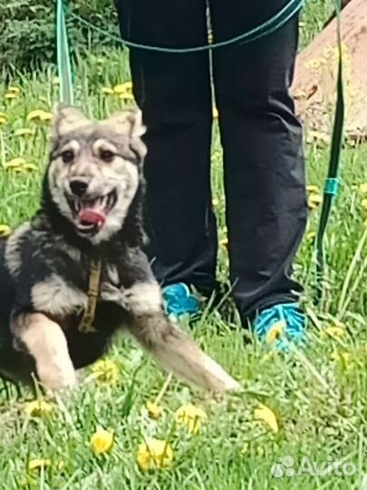 Мальчонка в добрые руки