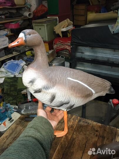 Чучела гусей и уток