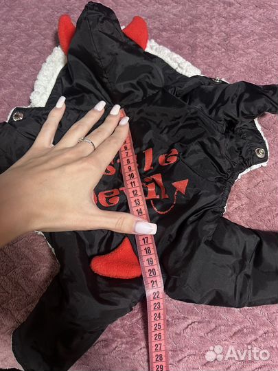 Одежда для собак